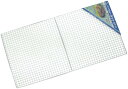 尾上製作所(ONOE) 20枚入り バーベキューネット3771 G-ON-1812 約37×71cm(LL用全面網) コンロ替え網 使い捨て バーベキュー BB...