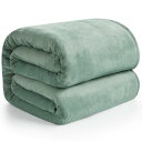 Hansleep 毛布 シングル 冬用 ブランケット 100x140cm カルダモングリーン マイクロファイバー 柔らかく肌触り フランネル 洗える 静電防止 四季適用 (100x140,カルダモングリーン)