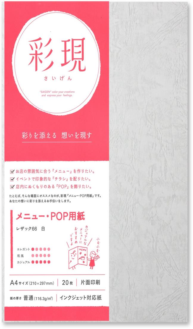 PCM竹尾 プリンタ用紙 彩現 メニュー・POP用 A4 レザック66 白 1742155