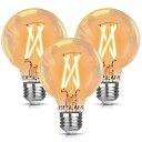 BESLAM LED電球 エジソン電球 調光器対応 E26 60W形相当 電球色 2700K 806lm LED 調光 電球 フィ ラメント電球 エジソンランプ...