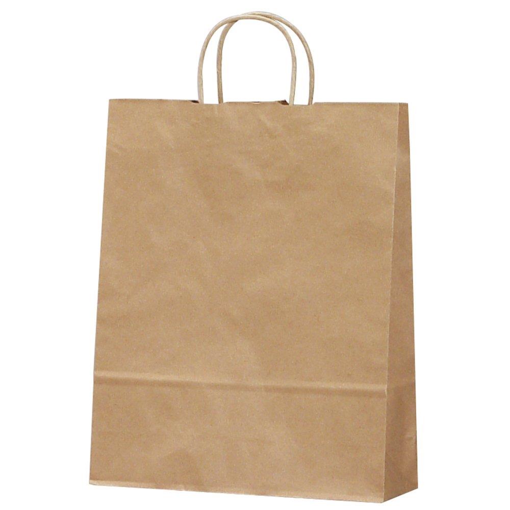 タカ印 ギフトバッグ 50-6301 手提げ 未晒無地 大 10枚