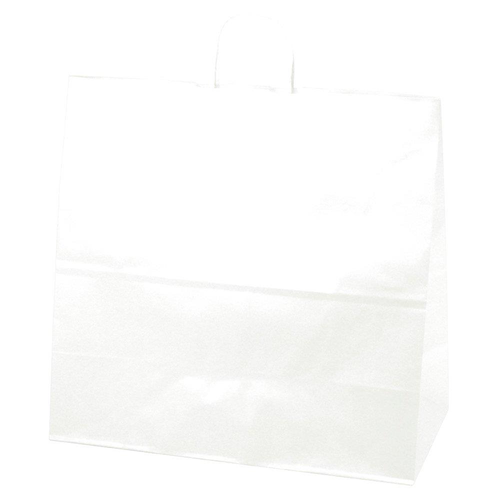 タカ印 ギフトバッグ 50-6600 手提げ 白無地 特大 角型 10枚
