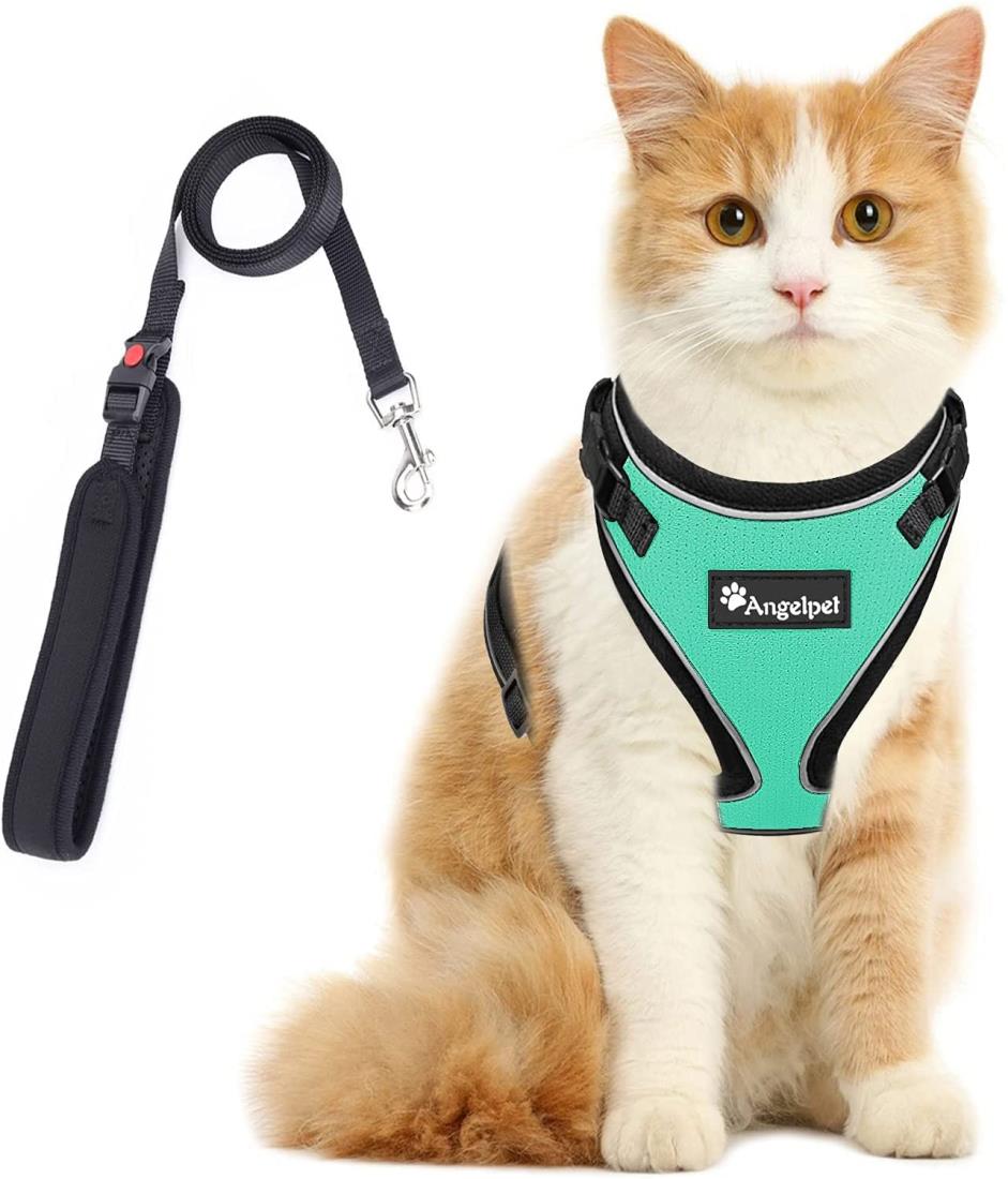 猫 猫用 ハーネス 胴輪 猫具 ねこ ネコ 子猫 子犬 小型犬 散歩 お出かけ 抜けない ベスト ソフト胸あて 軽量 頭を通さずマジックテープで装着 サイズ調節可 夜反射 通気メッシュ (Mサイズ (x 1), グリーン)