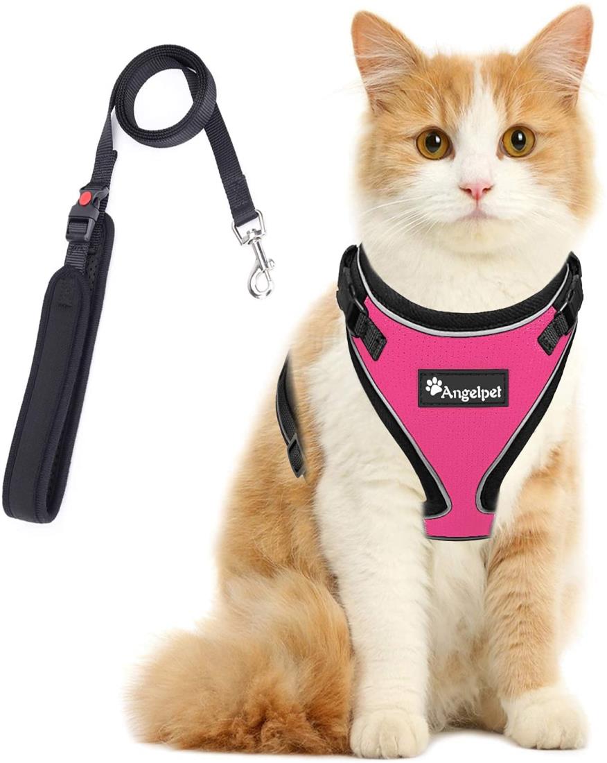 猫 猫用 ハーネス 胴輪 猫具 ねこ ネコ 子猫 子犬 小型犬 散歩 お出かけ 抜けない ベスト ソフト胸あて 軽量 頭を通さずマジックテープで装着 サイズ調節可 夜反射 通気メッシュ (Mサイズ (x 1), ローズピンク)