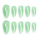 Sun&Beam Nails 手作り ネイルチップ ミディアム ロング アーモンド 無地 若緑 薄緑 キャッツアイ マグネット おしゃれ 付け爪 10枚入 (#123 L)