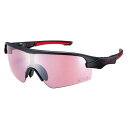 スワンズ 日本製 スポーツサングラス STRIX D.A. ストリック...(4)