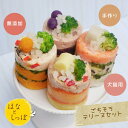 「 ごちそうテリーヌセット 4個 」 犬 猫 ケーキ 手作りごはん 無添加 誕生日 犬用 ごはん シニア犬 ご飯 ごちそう 手作り 誕生日ケーキ 犬用おやつ 高...