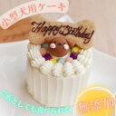 zebra＆Big heart　4号12cm　犬用ケーキ　犬用お誕生日ケーキ　ドッグケーキ　わんこケーキ