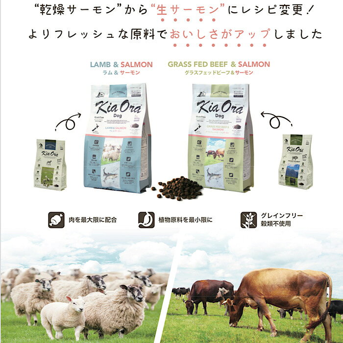 Kia Ora LAMB&SALMON 5kg キアオラ ラム サーモン ドッグフード ドックフード ペットフード ドライフード ドライ 犬 犬のエサ 犬のえさ 犬の餌 食物アレルギー チキンアレルギー 皮膚 被毛 シニア犬 高齢犬 パピー 子犬 大型犬 小型犬 高タンパク 消化吸収 鉄分 健康 hanatotto-10000241 HanaTotto サンプル画像3
