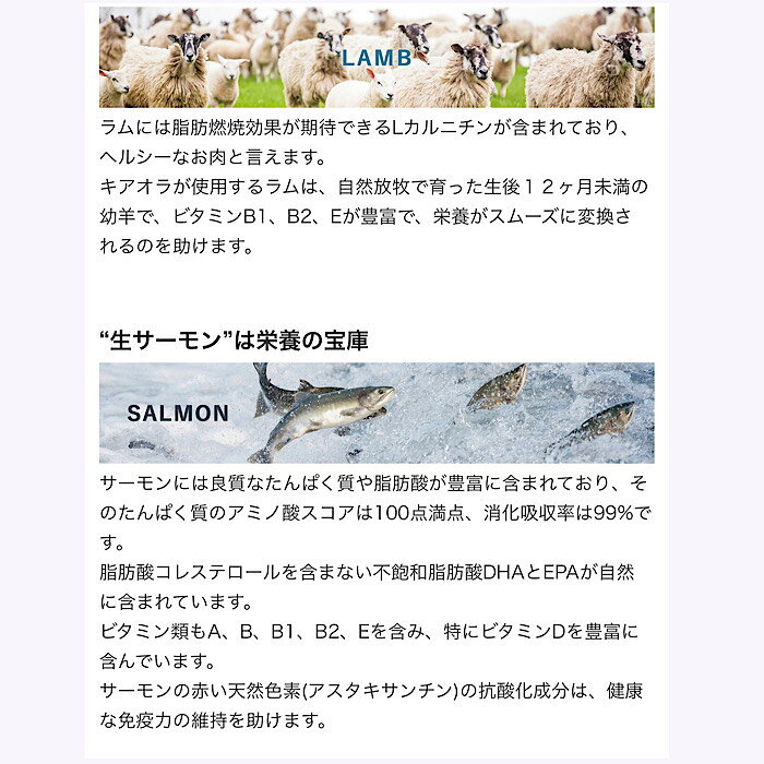 Kia Ora LAMB&SALMON 5kg キアオラ ラム サーモン ドッグフード ドックフード ペットフード ドライフード ドライ 犬 犬のエサ 犬のえさ 犬の餌 食物アレルギー チキンアレルギー 皮膚 被毛 シニア犬 高齢犬 パピー 子犬 大型犬 小型犬 高タンパク 消化吸収 鉄分 健康 hanatotto-10000241 HanaTotto サンプル画像2