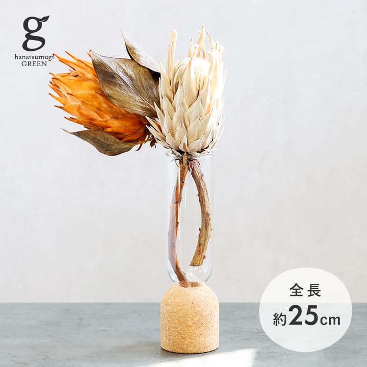 キングプロテア ドライフラワー protea cynaroides 25cm プロテア キナロイデス ジャイアントプロテア リース スワッグ 一輪挿し ホワイト 白 オレンジ マスタード シック ワイルド ナチュラル 天然 自然素材 長持ち