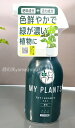 ZFw|@MY PLANTS ΂₭C͂~Xg 250ml / }CvcV[Y