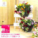 【花うるる ハンギング 寄せ植え 定期便】レギュラーコース12か月 (サブスク ハンギングバスケット 春 夏 定期購入 セット ギフト 花 フラワー ベランダ ...