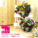 【花うるる ハンギング 寄せ植え 定期便】レギュラーコース6回(半年-1年) (サブスク ハンギングバスケット 春 夏 定期購入 セット ギフト 花 フラワー ...