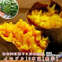 サツマイモ 苗 販売【蜜芋(ミツイモ)苗】(イモヅル10本束)ハチミツのような甘さとねっとり食感 激うまサツマイモの苗(サツマイモ さつまいも 芋づる 苗 イモ...