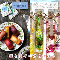 母の日 花 スイーツ セット 送料無料 洋菓子 ギフト ハーバリウム [ウェッジウッドの紅茶＆フィナンシェとハーバリウムのセット] お菓子 出産 内祝い 誕生日 手土産 プリザーブドフラワー