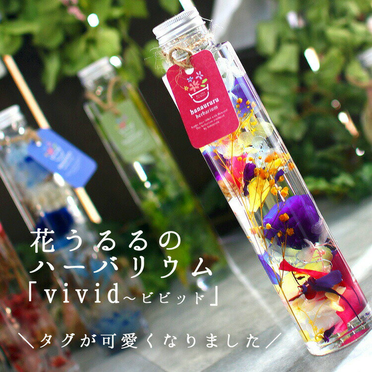 ＼母の日 遅れてごめんね／プレゼント [Vivid ビビッド] 花うるる ハーバリウム(2024 送料無料 カーネーション ドライフラワー 誕生日 花 お花 ギフト 母 完成品 義母 祖母 おしゃれ フラワーギフト 妻 プリザーブドフラワー 母の日プレゼント ハーバリュウム ははの日