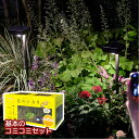 【送料無料】「ひかりノベーション 花のひかり 基本セット【LGS-LH02P」明るい ガーデンライト 屋外 コンセント led タカショー ライト 屋外ローボル...
