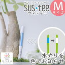 水やりチェッカー【サスティー M】同梱なら追加送料なし・メール便OK (水分計 サスティ 植物 観葉植物 鉢植え 寄せ植え 胡蝶蘭 花 植木鉢 鉢 ハンギングバ...