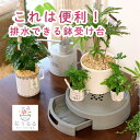 【排水できる鉢受台】2色から 室内用 (直径24cm 10号鉢まで対応)鉢皿 フラワースタンド 水 受け皿 屋外 室内 寄せ植え 鉢台 玄関 プランター 鉢スタ...
