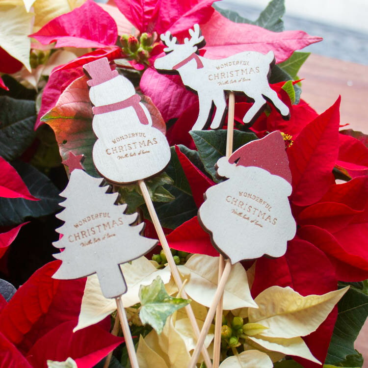 ֤֤Ǥ뤪㤨֡ڴ󤻿Ʊ̵᡼ؤOKۥꥹޥ  [ ץ졼 ԥå ʥ 륨å 4  Ρޥ ĥ꡼ ȥʥ](ե ץ쥼   ѡƥ  ɥ     ֥åե饤ǡ 2025פβǤʤ330ߤˤʤޤ