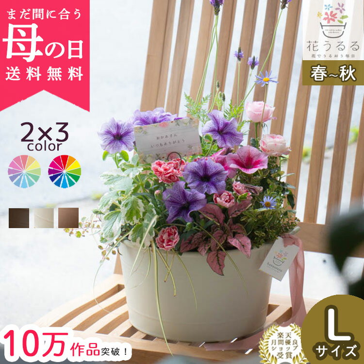 母の日 花 寄せ植え 鉢植え 花鉢 ギフト プレゼント【5/13?20発送分】...