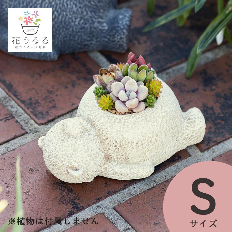 楽天市場】キティちゃん 陶器(花・ガーデン・DIY)の通販 楽天市場】キティちゃん 陶器(花・ガーデン・DIY)の通販
