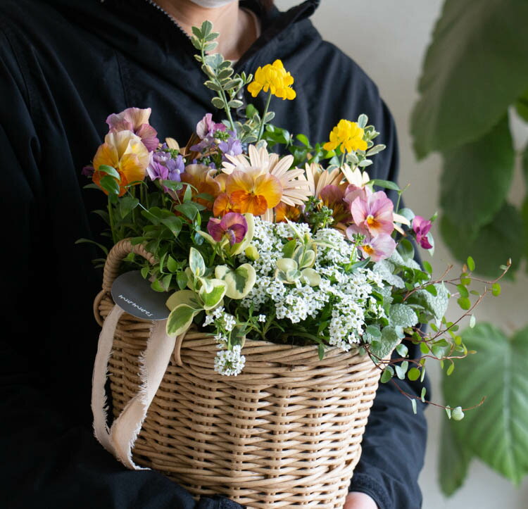 花うるるアレンジ寄せ植え「ジェミニバスケット シリンダ」おまかせ オーダーメイドOK かご ミュール ...