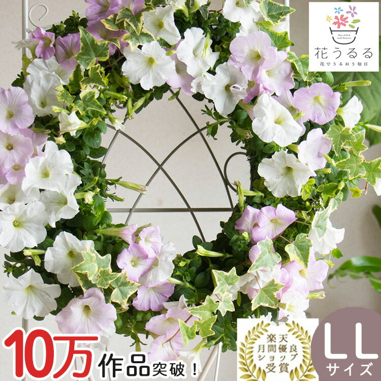 楽天花うるる〜花でうるおう毎日花うるる リース 寄せ植え [シンプル LLサイズ]おまかせ&オーダーメイドOK（オーダーメイド セット ギフト 花 鉢 寄植え 鉢植え 壁掛け ハンギングバスケット 通販 プレゼント 花ギフト おしゃれ 珍しい 苗 玄関 お花 フラワーギフト 誕生日 完成品 花苗 プランター 3月 4月