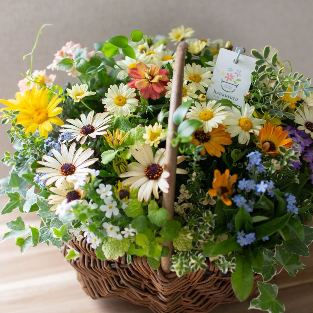 【オーダー可能・送料無料】花うるるアレンジ「かご型ギャザリング寄せ植え(Lサイズ」　(ギャザリング 寄せ植え 通販 花 ガーデニング 園芸 春 ギフト 歓送迎のサムネイル