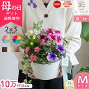 花うるる 寄せ植え 送料無料「カーネーション アレンジ Mサイズ」(花 ペチュニア サフィニア 鉢植え おしゃれ 珍しい 鉢 苗 春 夏 玄関 フラワーギフト ...