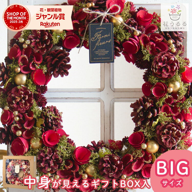 リース ドライフラワー [クリスマス ナチュラルリース]BIGサイズ 直径45cm( 花 ギフト プレゼント 誕生日 ディスプレイ パーティー 冬 通年 玄関 ドア 外 飾り 完成品 ドライ フラワー インテリア フラワーリース クリスマスリース 玄関ドア ブラックフライデー 2025