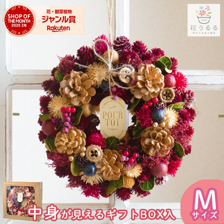 リース ドライフラワー [ベリーメリークリスマス]Mサイズ 直径24cm( 花 ギフト プレゼント 誕生日 ディスプレイ おしゃれ 冬 通年 玄関 ドア 外 飾り 完成品 クリスマス ドライ フラワー インテリア フラワーリース クリスマスリース 玄関ドア ブラックフライデー 2025