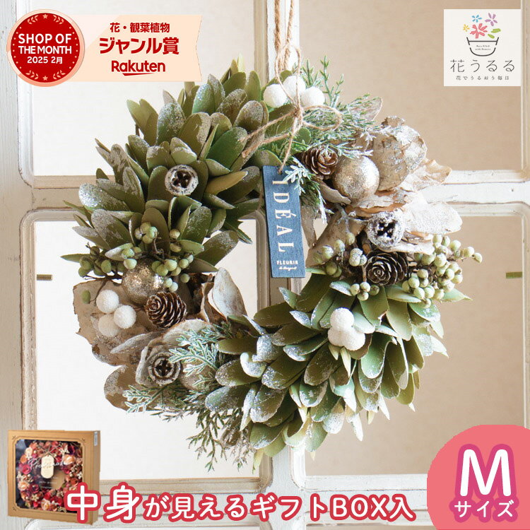 リース ドライフラワー [グリーンスパイラル]Mサイズ 直径24cm( 花 ギフト プレゼント 誕生日 ディスプレイ パーティー 冬 通年 玄関 ドア 外 飾り 完成品 クリスマス ドライ フラワー インテリア フラワーリース クリスマスリース 玄関ドア ブラックフライデー 2025