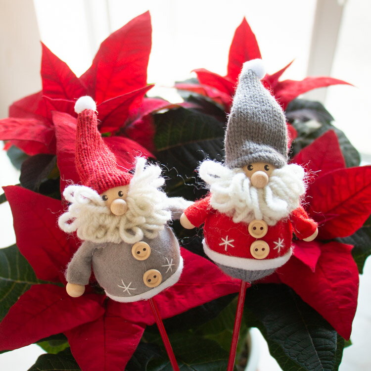 ֤֤Ǥ뤪㤨֥ꥹޥ  [դդ ԥå ޤޤ  (1]᡼Բ(ǥԥå ե ץ쥼  ֤ʪ ʪ ĥ꡼ ʥ ֥    ɥ    ƥꥢ إɥ ǥץ쥤 ̲ ֥åե饤ǡ 2025פβǤʤ398ߤˤʤޤ