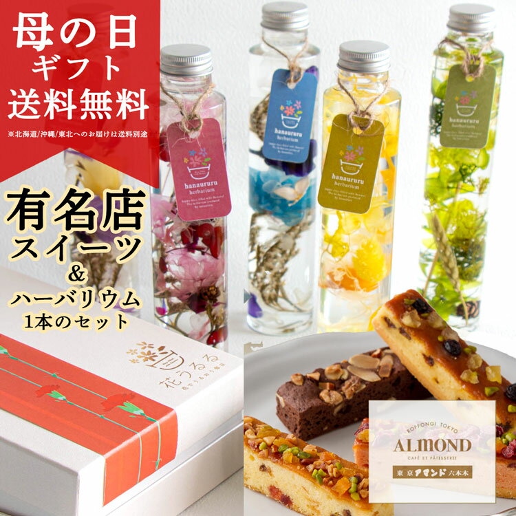 母の日 ギフト 花とスイーツ セット 洋菓子 [六本木アマンド ケイクバトン ハーバリウム セット ] お菓子 誕生日 花 スイーツセット お花 ギフト焼き菓子 母 完成品 義母 祖母 おしゃれ フラワーギフト 妻 プリザーブドフラワー 瓶 新築祝い