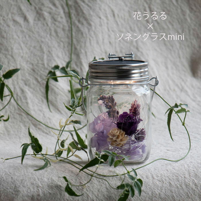 ソネングラスmini×花うるる【d】(正規代理店)(保証書付 新ソネングラス 250ml プリザーブドフラワー ラ..