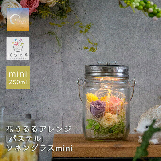 ＼即日発送OK／プレゼント ソネングラスmini×花うるる【パステルmini】(正規代理店)(保証書付 250ml ランタン インテリア プレゼントライト おしゃれ お花 フラワーギフト 誕生日 女性 ソーラー 開店祝い ドライフラワー 2024 瓶 母の日 遅れてごめんね