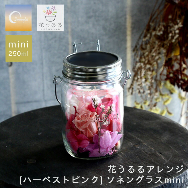 ＼母の日 遅れてごめんね／プレゼント ソネングラスmini×花うるる【ハーベストピンク】(正規代理店)(保証書付 250ml ランタン インテリア プレゼント 新築祝いライト おしゃれ お花 フラワーギフト 誕生日 女性 ソーラー 開店祝い ドライフラワー 2024 瓶 ははの日