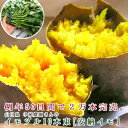 サツマイモ 苗 販売【安納芋の苗(イモヅル)10本】 トロ〜...