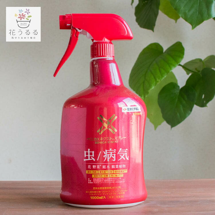 住友化学園芸 ベニカXネクストスプレー 1000ml 殺虫 殺菌剤