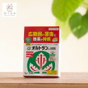 オルトラン水和剤 1g×10袋入り(条件付きでメール便OK) (水に溶かすタイプの殺虫剤)