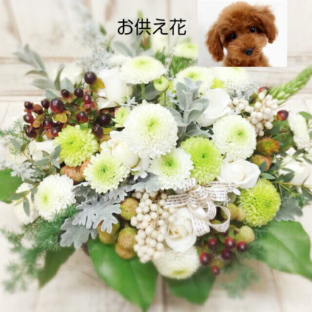 ◇おしゃれ系お供えアレンジメント お供え 花 即日発送 喪中お見舞い 【送料無料】 旬のおまかせ供花