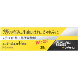 【第(2)類医薬品】【2個セット】エバージエルV軟膏 25g【メール便発送】