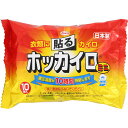 興和 ホッカイロ 貼るミニ 10枚入り(