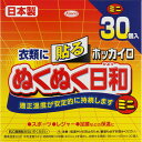 興和 ホッカイロぬくぬく日和 貼るミニ 30個入り(4987067830008)