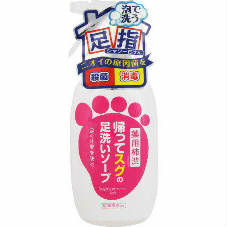【医薬部外品】マックス 帰ってスグの足洗いソープ 250ml (4902895040740)