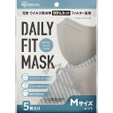 DAILY FIT MASK 立体マスク