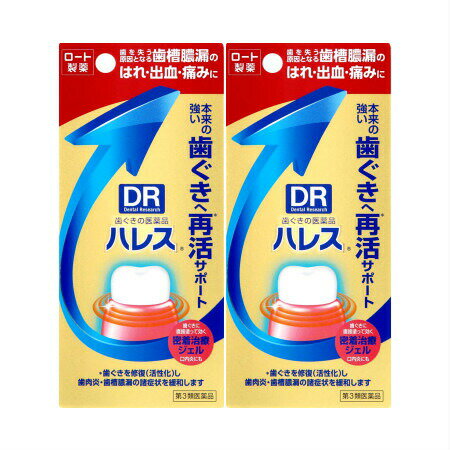 【第3類医薬品】ハレス口内薬 15g 【2個セット】 (4987241149568-2)【メール便発送】