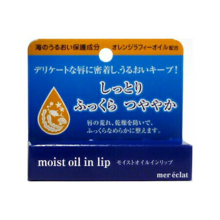 日水製薬 メールエクラ モイストオイルインリップ ＜リップクリーム＞ 【2個セット】 (4589637340032-2)【メール便発送】